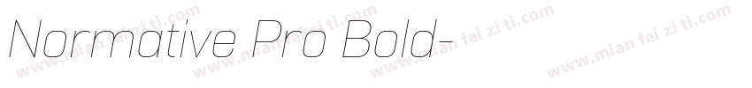 Normative Pro Bold字体转换